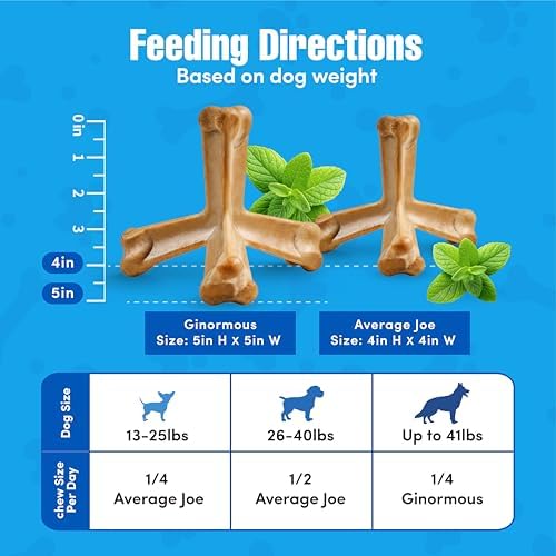 N-Bone Quado Interactive Chew, Pumpkin Flavor, Average Joe, 2.8oz