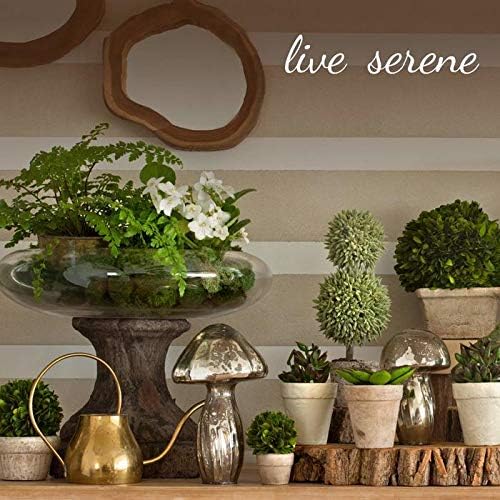 Serene Spaces Living Glossy White Ceramic Vase, Black Ceramic Vases for Modern Home Decor, Perfect Centerpiece for Weddings, Parties, Bridal Showers, Events, Measures 5" Tall & 5.75" Cube