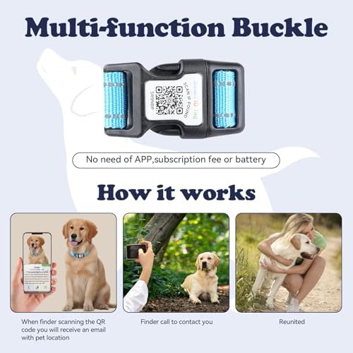 Apple Air Tag Compatible Anti-Lost Dog Collar with Scannable QR Code ID Tag | Reflective Safety | Comfort Fit & Adjustable | Durable Nylon for XXS to XL Dogs (Black, S)