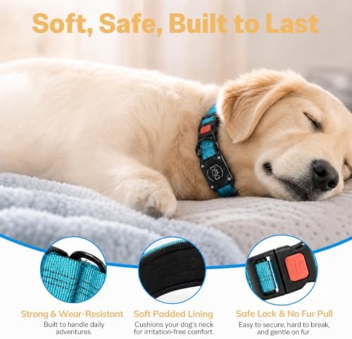 Dog Collar with AirTag Holder Waterproof QR Code Reflective Collar(Blue,S) | Built-in Waterproof Holder, QR Code Tag, Reflective,Secure Buckle