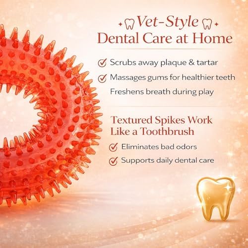 Squeaky Spiky Dog Ring Toy for Teeth Cleaning & Gum Massage 4.9 Inch Medium Large Dogs Red | Spiny TPR Rubber Chew Toy for Fetch Play Interactive Bouncy Dental Ring Durable BPA Free Nontoxic Floats