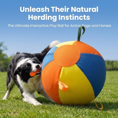Herding Ball For Dogs Large Inflatable Outdoor Play Toy (55*30*55cm)