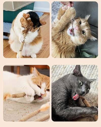 Tocirelo Cat Toys Silvervine Sticks, Natural Catnip Toys for Indoor Cats