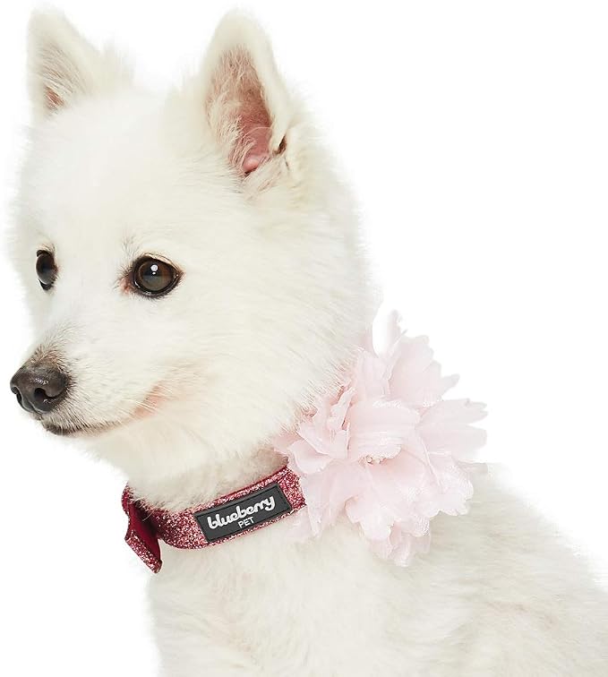 Blueberry Pet The Most Coveted Holo Glitter Dog Collar with Flower