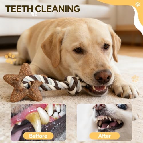 Dog Chew Toys for Aggressive Chewers – Puppies & Adults, Multiple Textures & Rope， ndestructible Tough Durable Interactive Dog Toys， Brown Stars