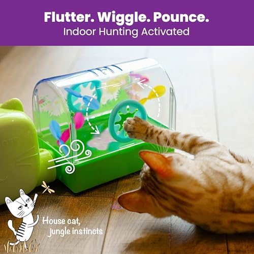 Catstages 2-in-1 Air Blaster Play Set Cat Toy, 2 Interchangeable Toys, Terrarium & Dancing Cactus, 1 Battery-Operated Fan