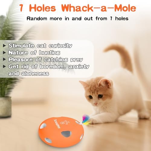 Cat Toys, Rechargeable Interactive Cat Toy, Orange