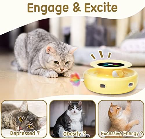 ORSDA Cat Toys 2-in-1 Interactive Cat Toys for Indoor Cats, Automatic Cat Toy Balls, Ambush Feather Kitten Toys with 6pcs Feathers, Dual Power Supplies, Adjustable Speed, Auto On/Off