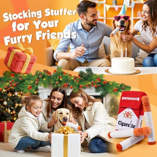 KEZKALS Funny Dog Toys for Small Medium Dogs, 3 Pack Squeaky Dog Toy