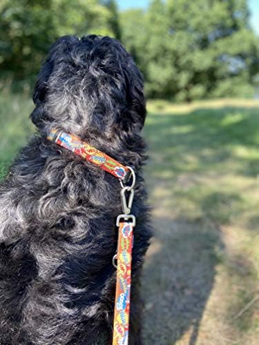 Max & Molly Fashion Smart ID Dog Collar, Soft Padded Neoprene, Anti-Fade, Adjustable Sizing w/Pet Profile Smart ID QR-Tag, Waterproof & Machine Washable for Large Dogs, Hero Design, Large