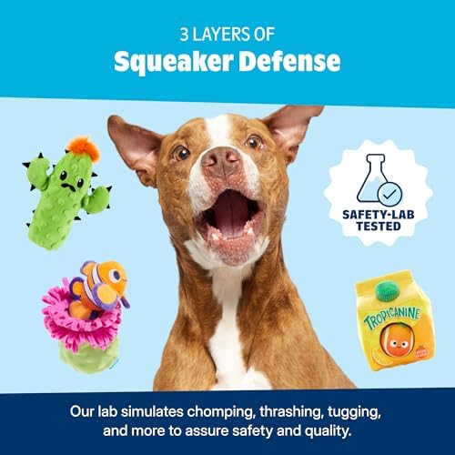 BarkBox Play Hatch Rubber Tennis Balls - for Dogs