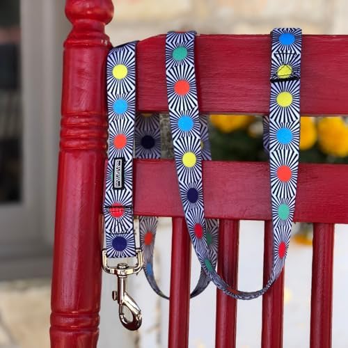 Lucky Love Dog Martingale Collar and Leash Set for Small Dogs – SOCO, Small