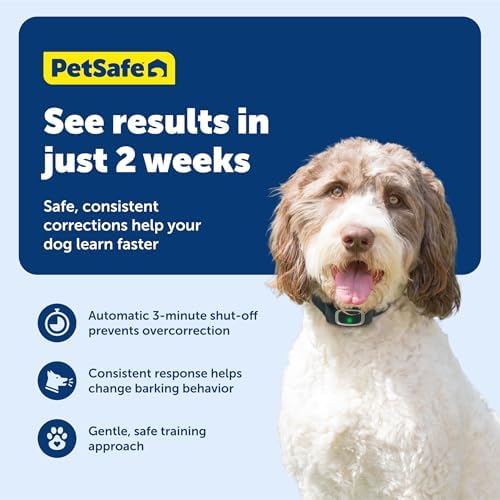 PetSafe Bark Collar | Progressive Static Correction, Built-in Safety Feature Prevents Over Correction, Waterproof, Dogs 8 lb+, Necks Up To 27 in