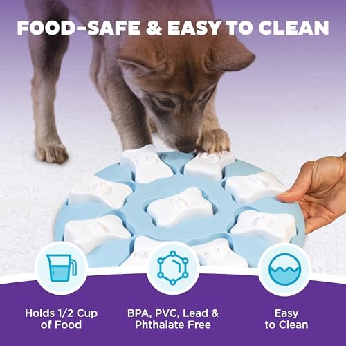 Outward Hound Nina Ottosson Puppy Tornado Dog Puzzle Interactive Treat Puzzle Dog Enrichment Dog Toy for Puppies, Level 2 Intermediate, Pink
