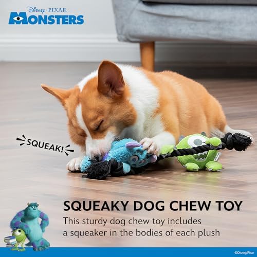 Disney for Pets Pixar Monsters Inc Sulley and Mike Hanging Rope Dog Toy
