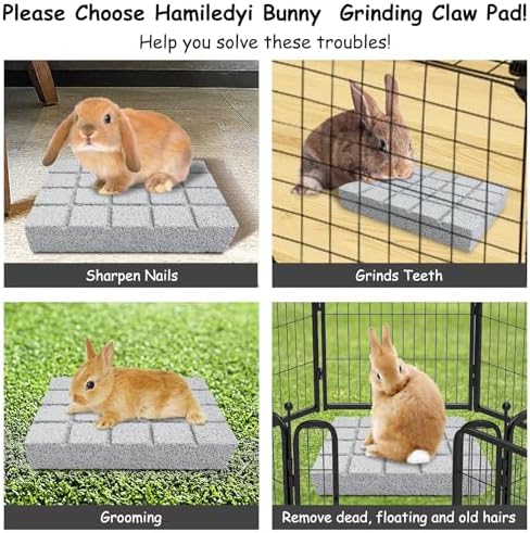 Hamiledyi 2PCS Rabbit Scratching Pads Bunny Lava Grinding Claw Pads Small Animal Foot Pads Hamster Scratch Board Chew Toys for Gerbil Chinchilla Hedgehog Guinea Pig Cage Accessories