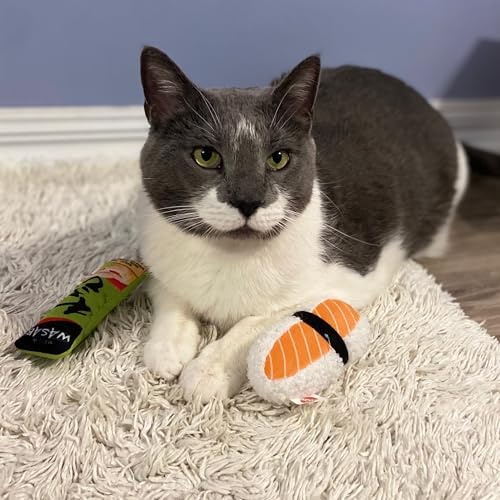 SPOT Sushi Take-Out- Cat Plush Toys with Catnip & Silverine Blend, Cute and Funny Toys for Indoor Cats & Kittens, Perfect for Batting and Chasing - 4 inch, Assorted 2-Pack, Styles May Vary