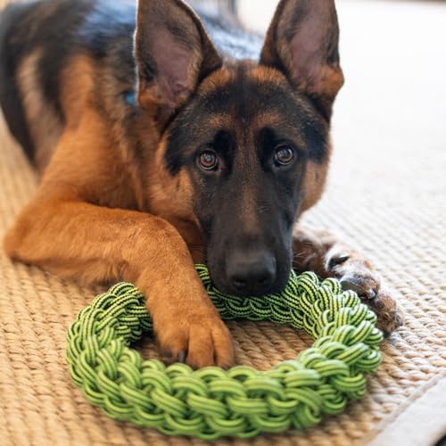 Jolly Pets TIK-Tak-Tugzz Woven Rope Dog Toy, O Shape, Large/XL