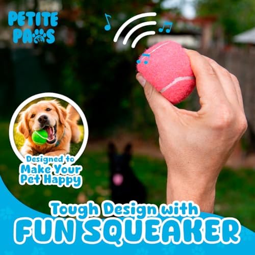 BundleBee Petite Paws Squeaky Tennis Balls for Dogs 2.5 Inch - 12 Pack Dog Toy Balls - Non-Toxic Rubber Squeaky Balls for Medium Large Dogs, Fetch Training Toys, Colorful Bouncy Dog Ball