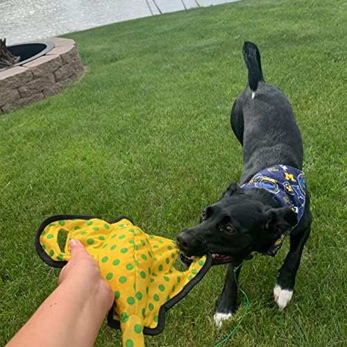 Snuggle Puppy Tender-Tuffs Tug Dog Toy, Yellow Stingray - Large