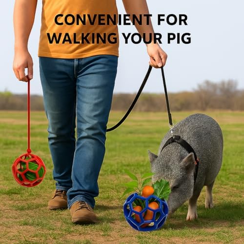 2Pcs Pig Enrichment Toys, Treat Ball Toy for Mini Pigs and Farm, Hanging Chew Ball Enrichment Toy with Rope for Pigs to Play with