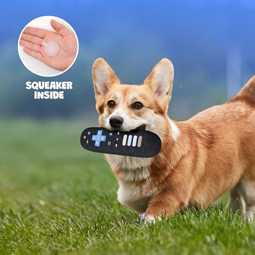 Remote Control Parody Dog Toy – Funny Crinkle & Squeaky Dog Toys for Interactive Play and Training – Durable, Easy to Clean, Birthday Gifts for Small, Medium and Large Dogs