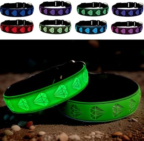 Light Up Glow Dog Collar with AirTag Holder, 15 Color Modes,