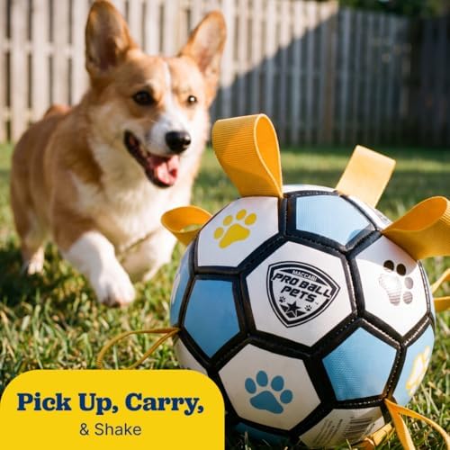 Interactive Dog Soccer Ball for Dogs, 6” with Straps & Grab Tabs, Floats on Water, Fetch & Training Toy for Small/Medium Dogs, Herding Breeds, Waterproof Non-Toxic – ProBall Pets – Blue Yellow