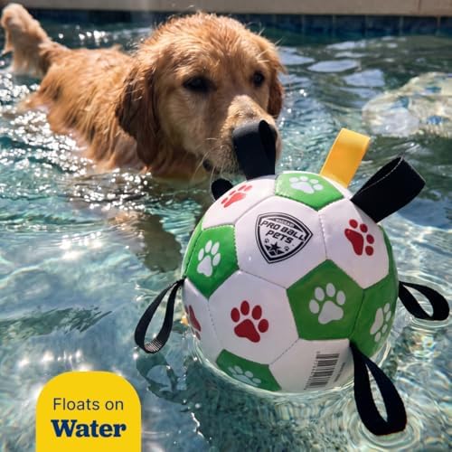 Maccabi Interactive Dog Soccer Ball for Dogs, 6” with Straps & Grab Tabs, Floats on Water, Fetch & Training Toy for Small/Medium Dogs, Herding Breeds, Waterproof Non-Toxic – ProBall Pets – Green Red