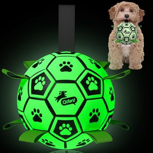 QDAN Premium Dog Ball, Glow in The Dark Dog Toys, Light Up Soccer Ball for Dogs, Outdoor Dog Toys, Doggy Water Toy, Puppy Birthday Gifts for Small Medium (6 Inch)