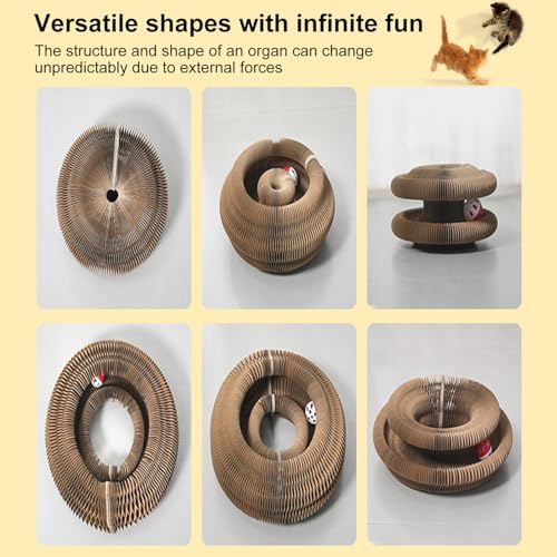 Kitty Curls Cat Toy,Cat Scratcher for Grinding Claw Cardboard Cat Toys