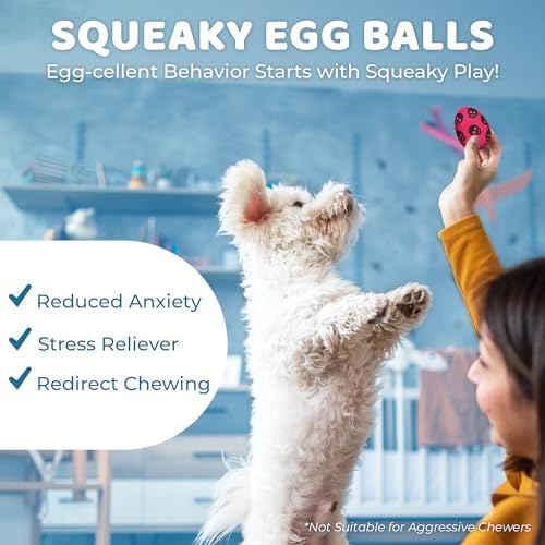SunGrow Dog Chew Toy, Natural Rubber Squeaker, Interactive Fetch Ball, 3 Pc