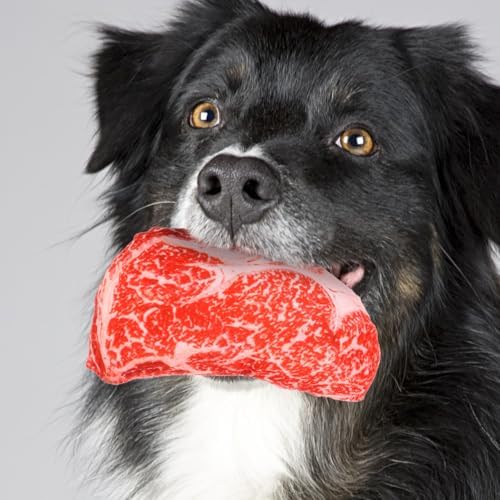 balacoo Simulated Steak Dog Chew Toy 9.05In Soft Oxford Cloth Squeaky