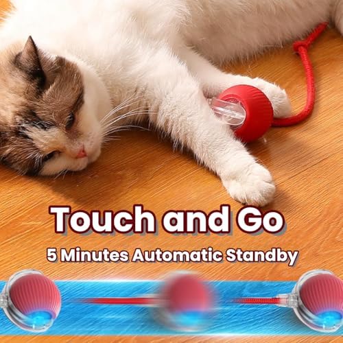 Interactive Rotating Cat Ball Toy, 360 Smart Rolling Ball Electric, Automatic Moving for Cats & Kittens (Green+Grey)