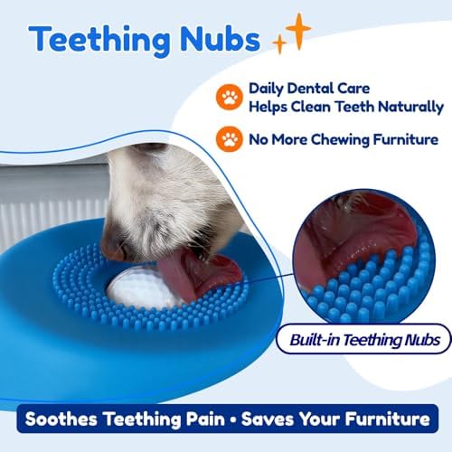 Lick and Roll Bowl for Dogs - Slow Feeder with Rolling Ball, Anxiety Relief