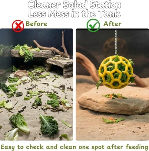 Reptile Tank Accessories Set with Interactive Feeder Ball, Skateboard Toy, Exercise Bells for Bearded Dragon, Lizard, Gecko Enrichment and Activity