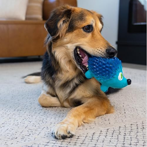 Outward Hound Tootiez Hedgehog Grunting Latex Rubber Dog Toy for Large Dogs, 4" x 7", Squeaky Interactive Dog Toy for Gentle Chewers