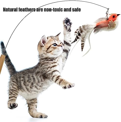 Cat Feather Toys Refill, 5 Pieces Attachments Feathers Bird for Cat Wand
