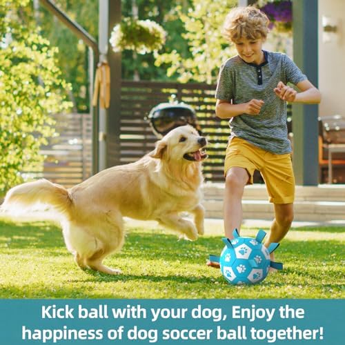QDAN Dog Balls, 8 Inch Dog Soccer Ball with Straps for Large Dogs