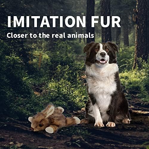 ALL FOR PAWS Orel Rabbit Squeaky Dog Toy, Flat Plush Bunny Dog Toy with Large Built-in Squeaker, Interactive Plush Chew Toy for Small Medium Large Dogs, 9.8 x 7.5 x 4.3 in
