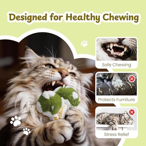 5 Pack Catnip Toys, Cat Toys with Catnip & Silvervine, Colorful Mushroom Kitten Teething & Cat Chew Toys with Different Textures, Funny Cat Kicking Toys for Indoor Cats