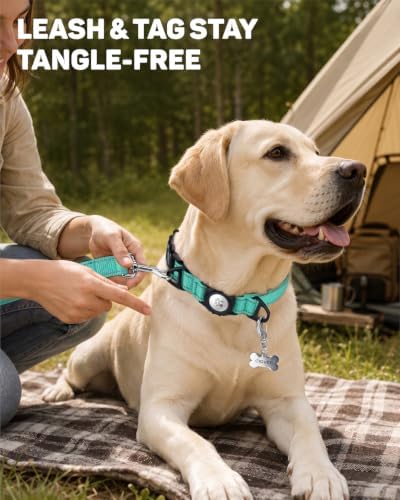 Padded Dog Collar with Waterproof Holder Compatible with Airtag