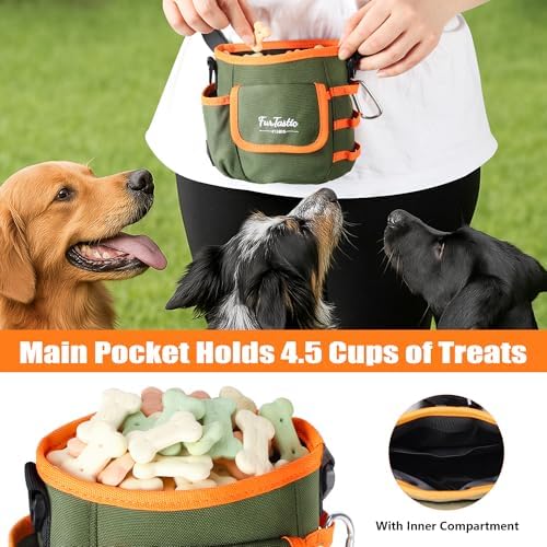 Dog Treat Pouch with Magnetic Closure for Pet Training