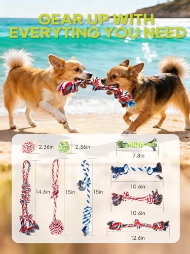 TwoEar Dog Rope Toy 9 Pack - Puppy Teething Toys for Small Medium Breed