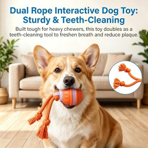 Interactive Dog Toys Automatic Rolling Ball with Rope Blue