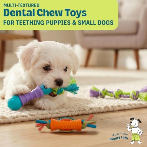 Dental Chew Pack Mini Dog Chew Toys, 7", 3-Pack