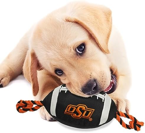 Pets First NFL Unisex NFL Nylon Football