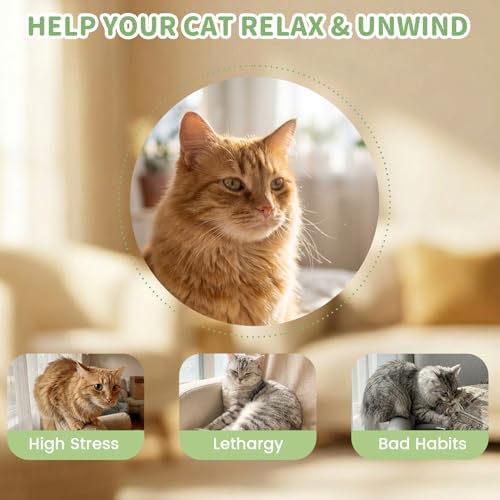 6 Pcs Cat Toys for Bored Indoor Adult Cats & Catnip Toys with 2 Bags, Potent Cat Chew Toy for Teeth Cleaning with Silvervine, Interactive Dental Plush Set for Boredom Relief and Pet Gifts