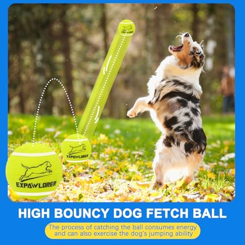 EXPAWLORER Squeaky Tennis Balls for Dogs-12 Pack High Elastic Dog Toy Balls