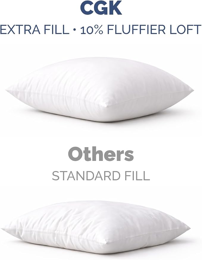 20x20 Pillow Inserts, Throw Pillows for Bed, Sofa & Couch - Set of 2, White | Decorative Bed Throw Pillows, Soft, Supportive & Fluffy Cushion Inserts, Sham Stuffer, Down Alternative, Machine Washable